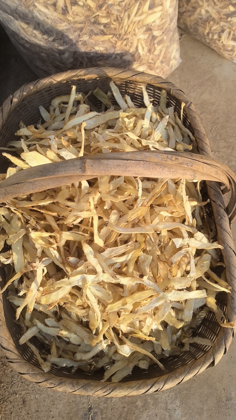 湖南玉竹大选片新鲜无硫玉竹干货自有基地种植玉竹干片