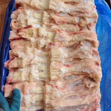 牛蹄筋生的熟的都有都大块主筋，质量**好山东腾惠