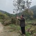春鹃老桩