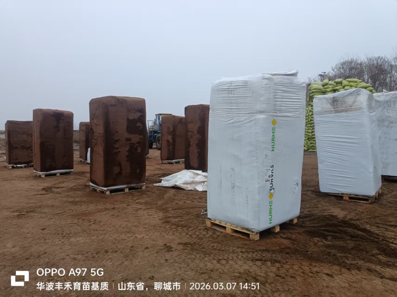基质，营养土，进口基质货源充足，量大从优