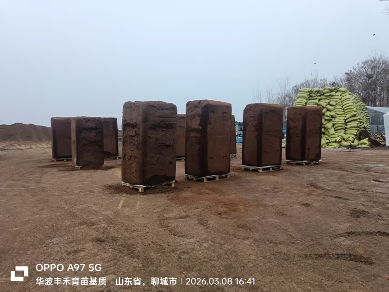 基质，营养土，进口基质货源充足，量大从优