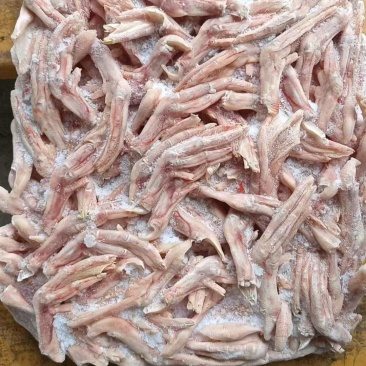 麻鸭掌10吨，一公斤32个左右