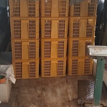 汉川精品小龙虾，底板干净，肉质保满，信价比高