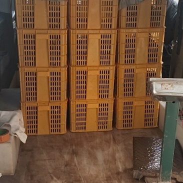 汉川精品小龙虾，底板干净，肉质保满，信价比高