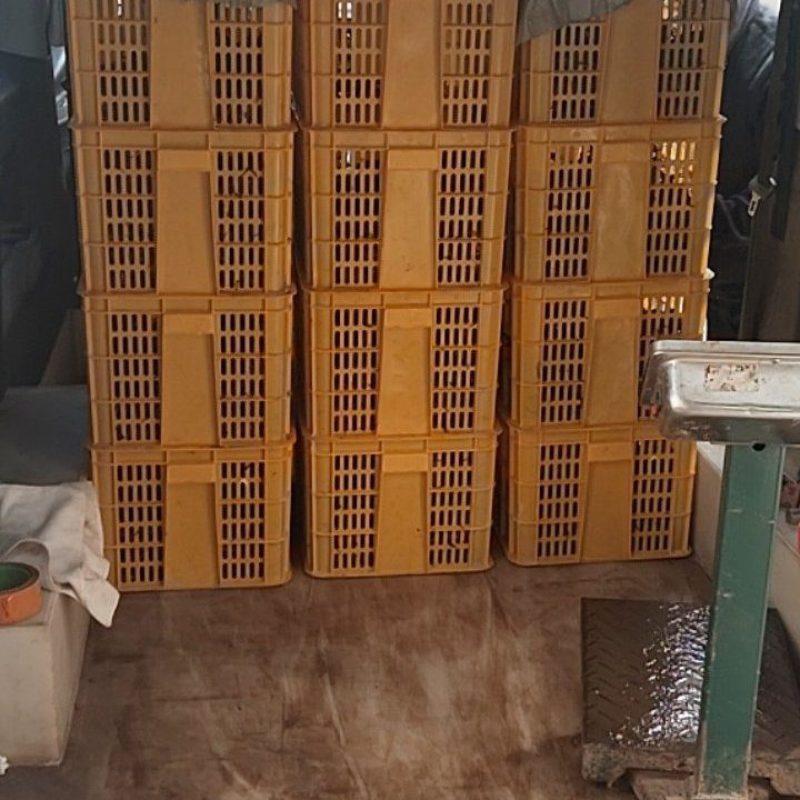 汉川精品小龙虾，底板干净，肉质保满，信价比高