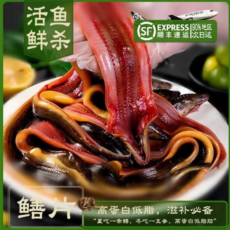 鳝鱼鲜杀鳝鱼段鳝鱼筒工厂活鱼鲜杀直供商超餐饮配送到店