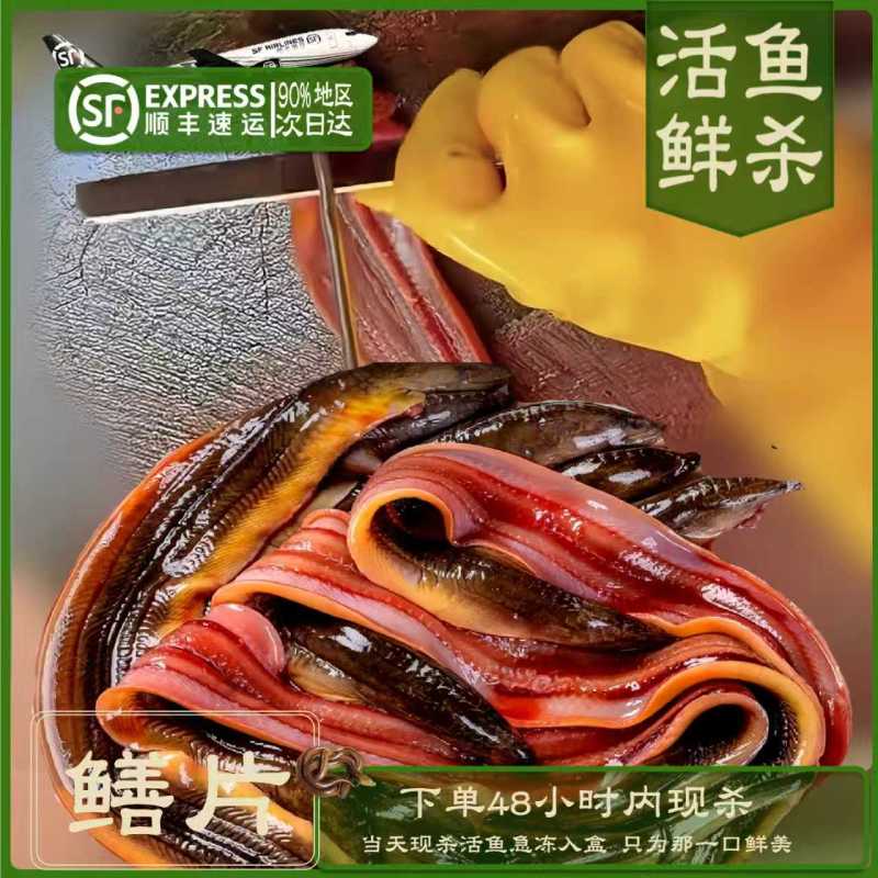 鳝鱼鲜杀鳝鱼段鳝鱼筒工厂活鱼鲜杀直供商超餐饮配送到店