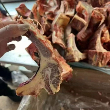 牛脊骨