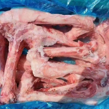 熬汤猪前腿骨