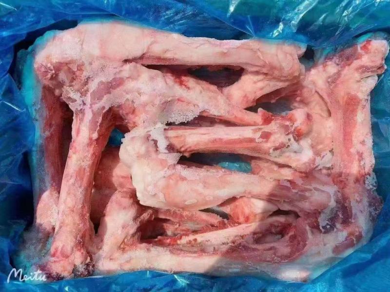 熬汤猪前腿骨