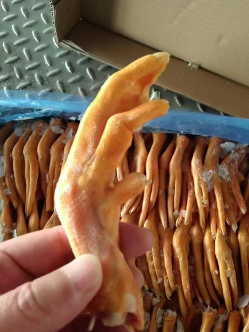 黄皮鸭掌