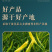 清水黄花菜真空包装商用批发一斤装餐饮专用火锅麻辣烫串串