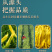 清水黄花菜真空包装商用批发一斤装餐饮专用火锅麻辣烫串串