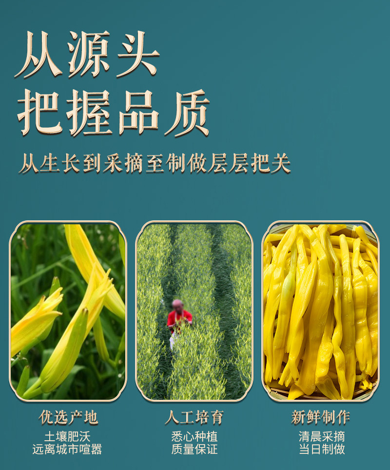 清水黄花菜真空包装商用批发一斤装餐饮专用火锅麻辣烫串串