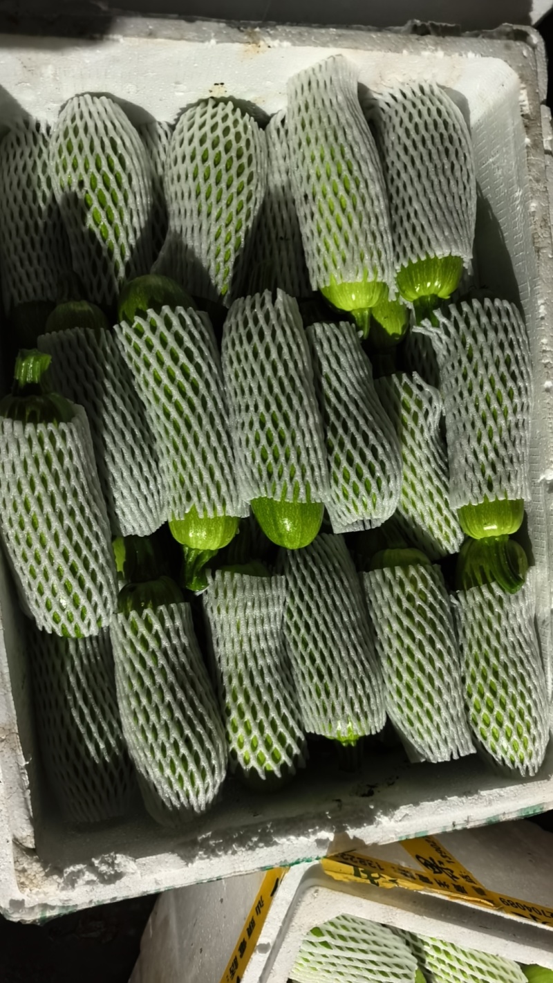 西葫芦