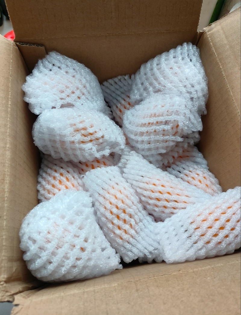 大五星枇杷即将开始上市工厂果电商果，市场果，一件代发