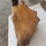生牛头，整个30斤，