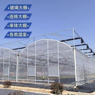 大棚钢管骨架椭圆管连栋温室制作养殖牛羊大棚蔬菜种植棚钢管