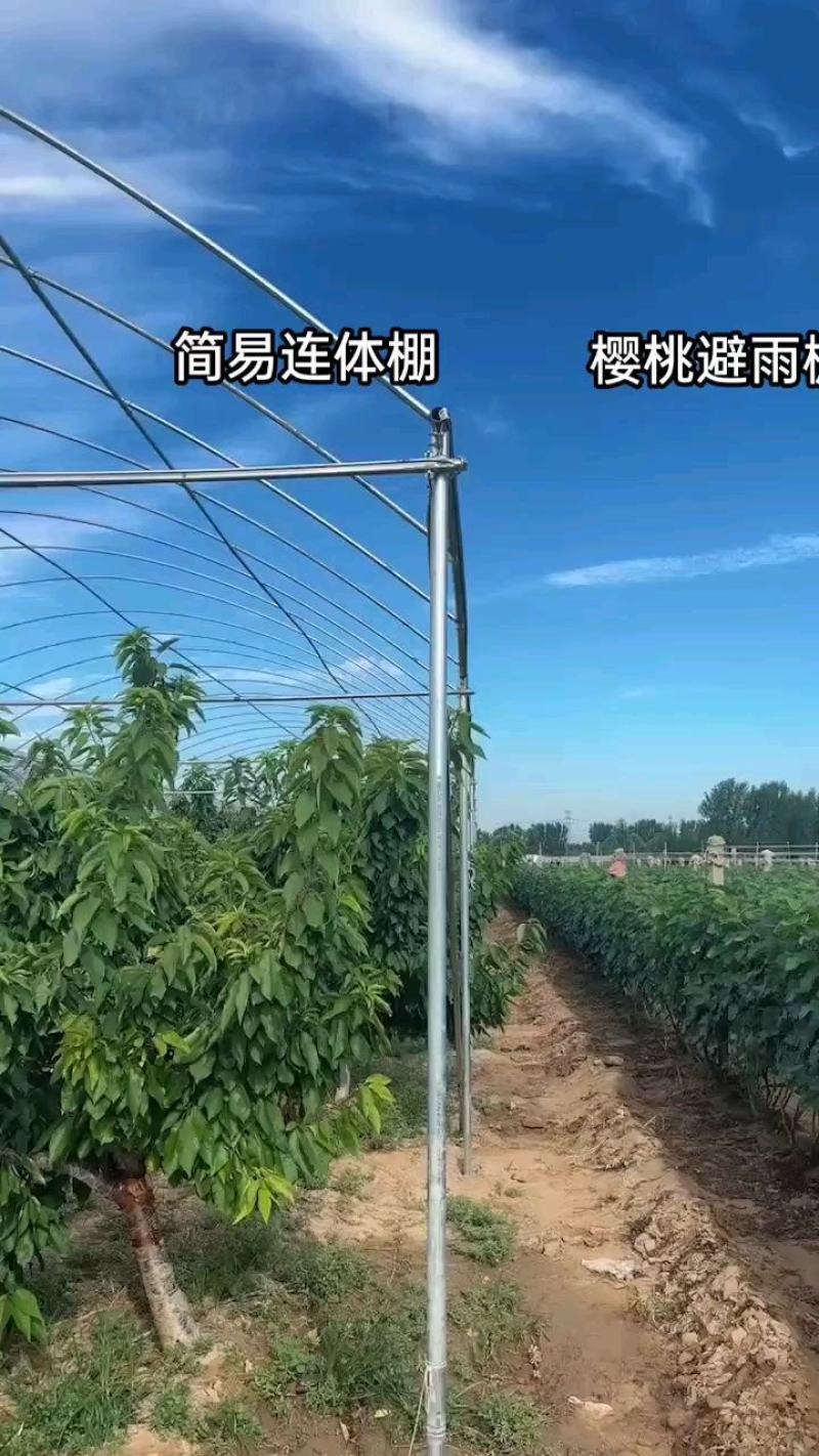 大棚钢管骨架椭圆管连栋温室制作养殖牛羊大棚蔬菜种植棚钢管
