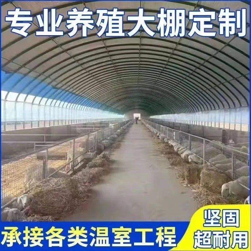 大棚钢管骨架椭圆管连栋温室制作养殖牛羊大棚蔬菜种植棚钢管