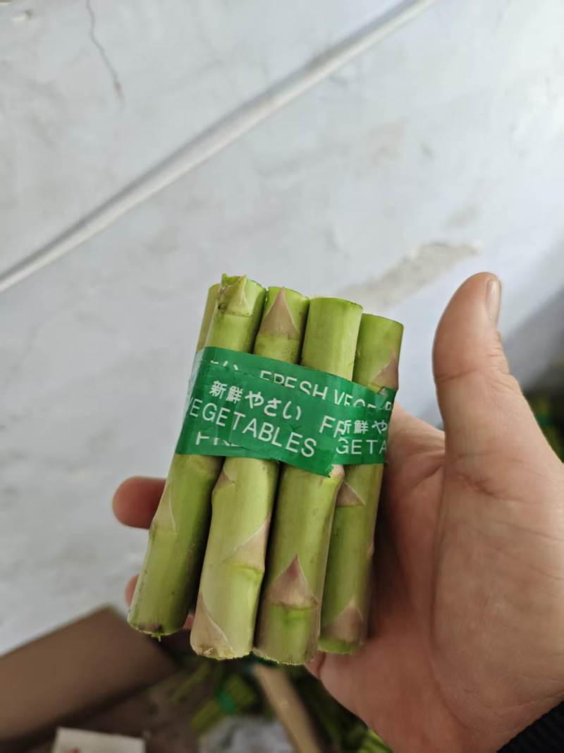 芦笋中断