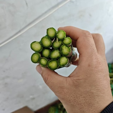 芦笋中断