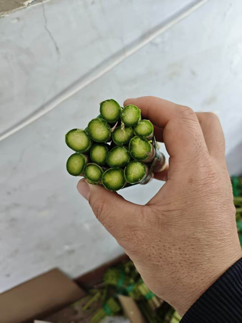 芦笋中断