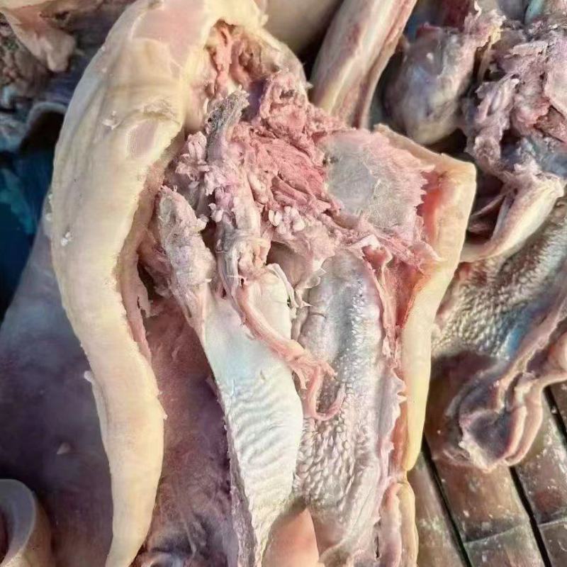 【熟牛头肉】牛头肉