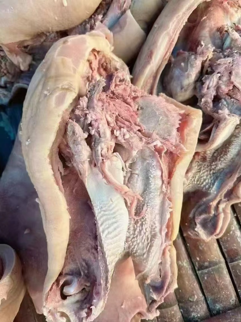 【熟牛头肉】牛头肉