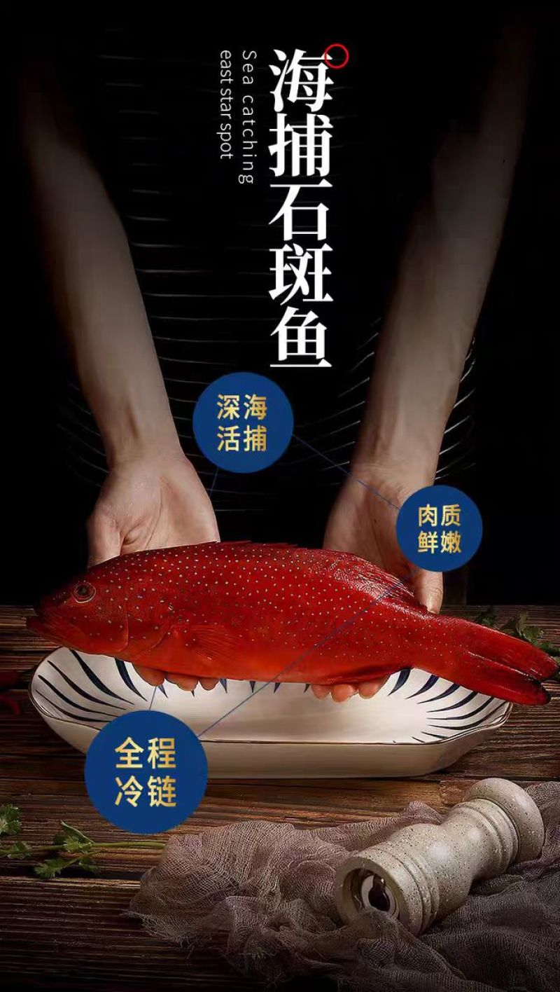 石斑鱼东星斑活鲜1-5斤/条！