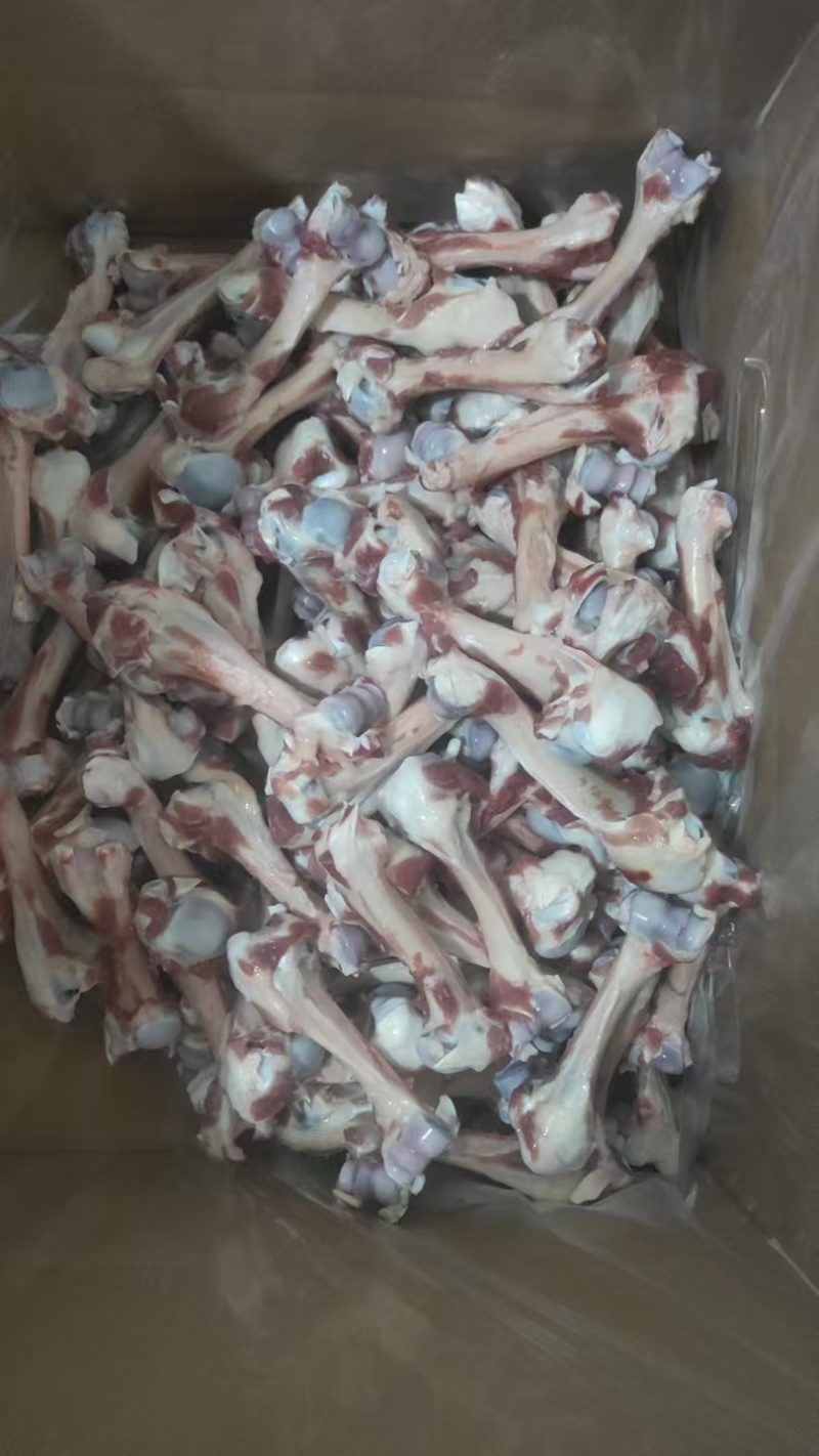 【羊棒骨】绵羊的干棒骨！熬汤吸骨髓专用！常年有货！