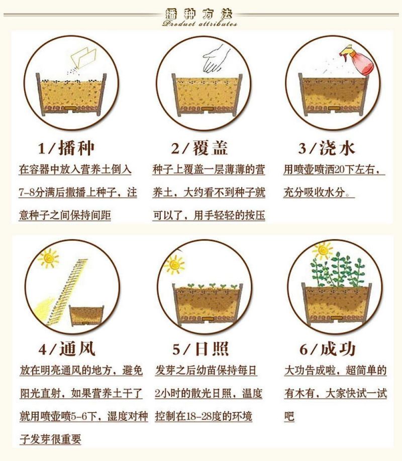 128款混装花组合装四季幼儿园种植盆栽花卉植物阳台庭院野