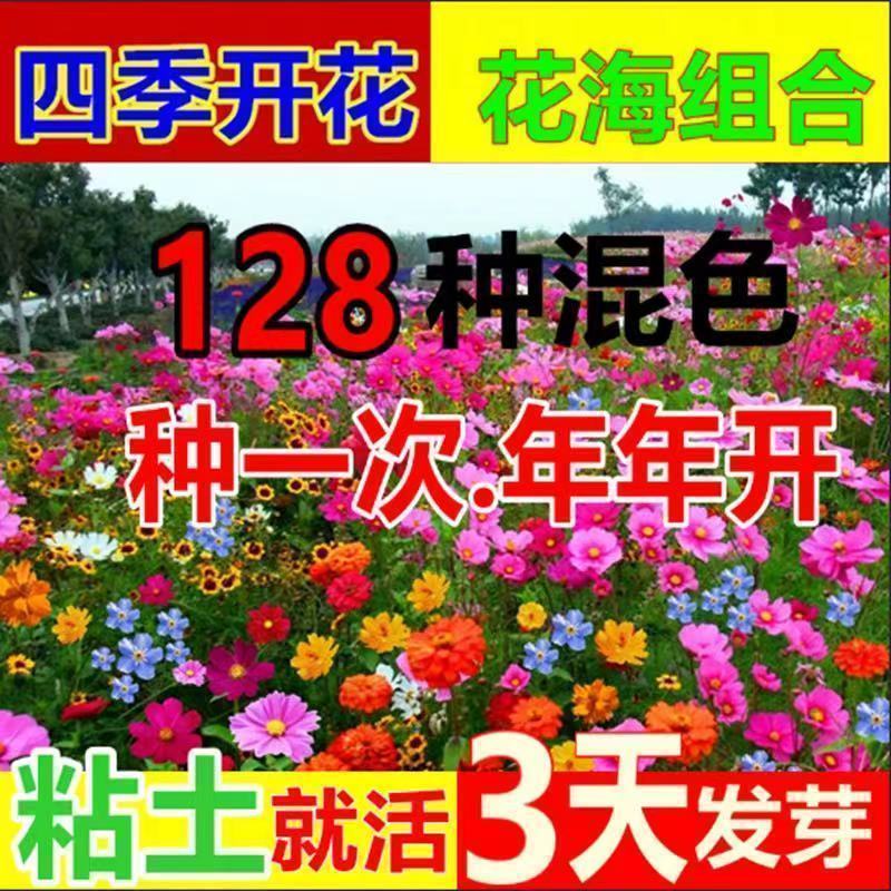 128款混装花组合装四季幼儿园种植盆栽花卉植物阳台庭院野