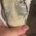 大连生蚝2.54-55-6规格齐全！