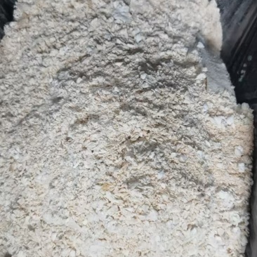 面粉渣