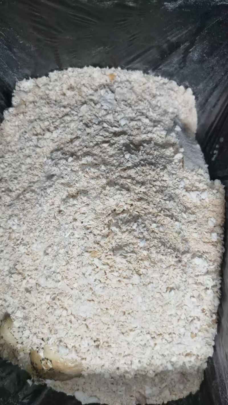 面粉渣