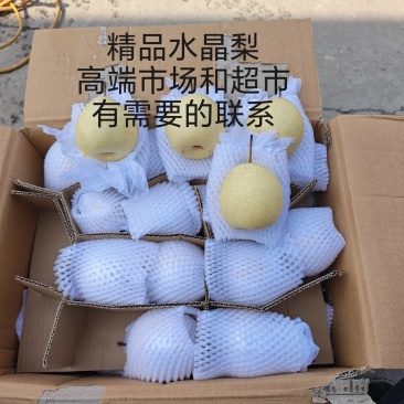 4.1号高端精品水晶梨，无串皮，果型漂亮，有需要联系