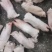 肥猪18-20个二级蹄20多吨