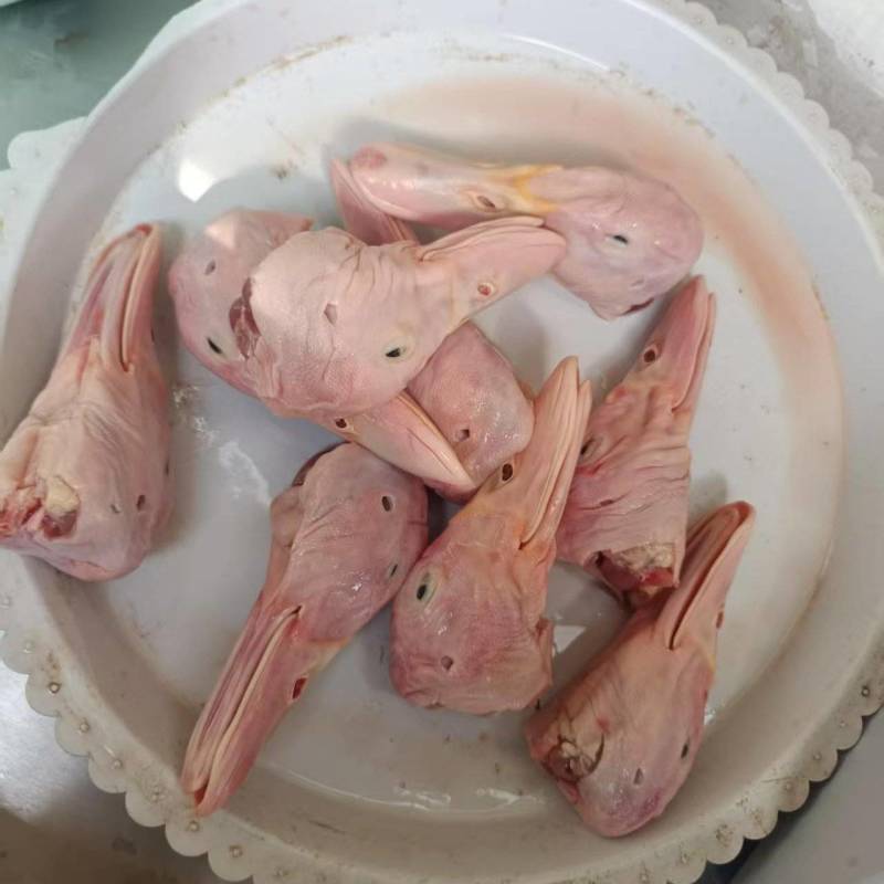 鸭9头还有7吨