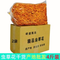 虫草花干货新鲜金蛹北虫草菇批发煲汤食材