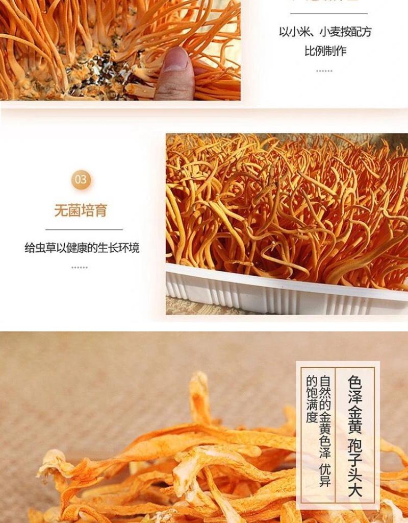 虫草花干货新鲜金蛹北虫草菇批发煲汤食材