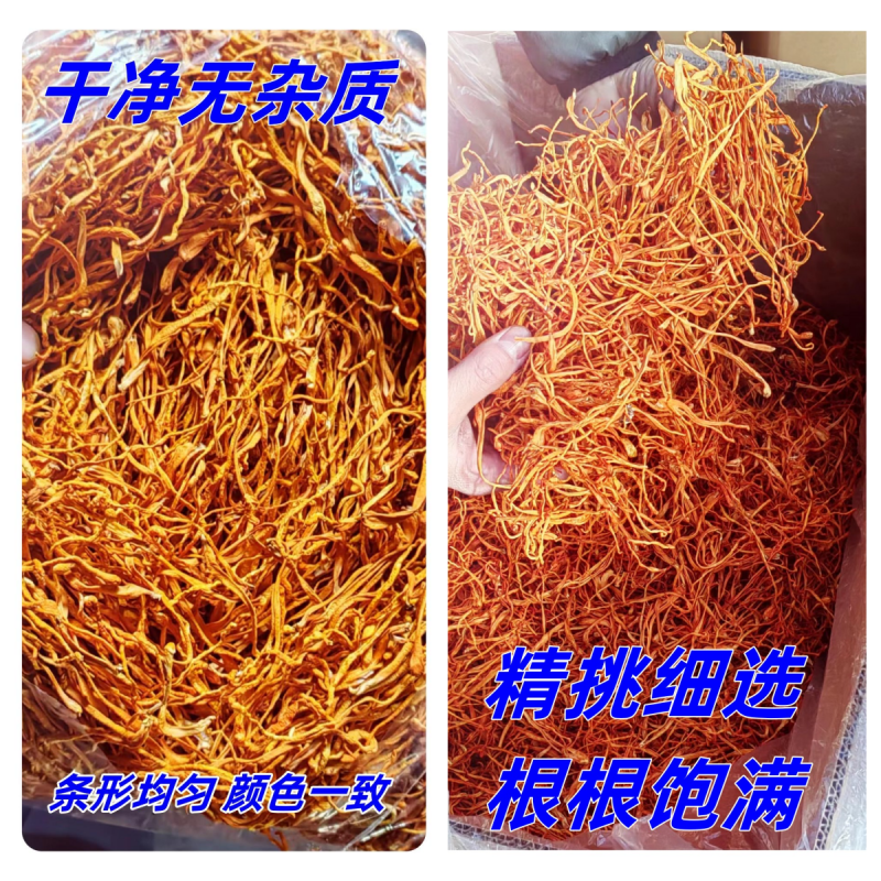 虫草花干货新鲜金蛹北虫草菇批发煲汤食材