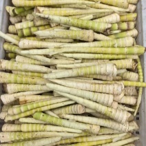 专业各类毛壳鲜笋批发，半成品，一站式