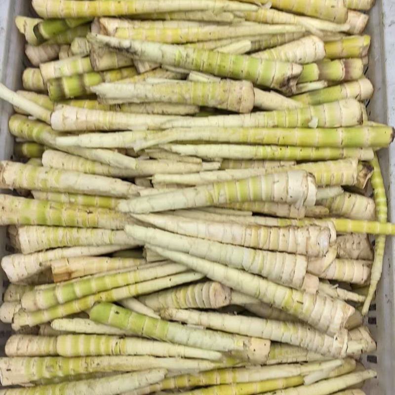 专业各类毛壳鲜笋批发，半成品，一站式