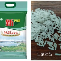 汕尾丝苗米