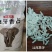 汕尾丝苗米
