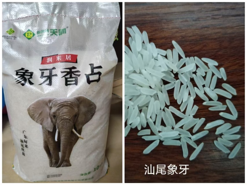 汕尾丝苗米
