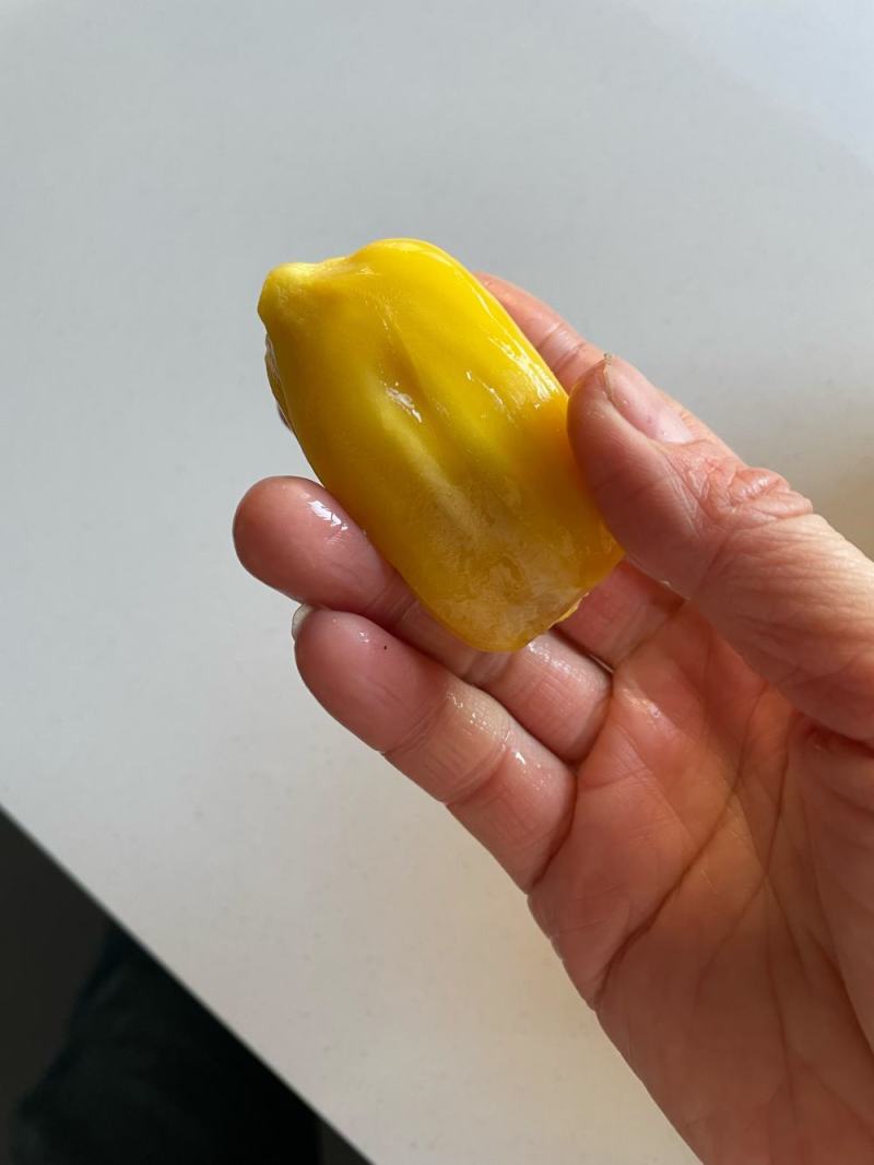 现摘海南菠萝蜜一整个当季新鲜水果干苞波罗蜜整箱包邮！