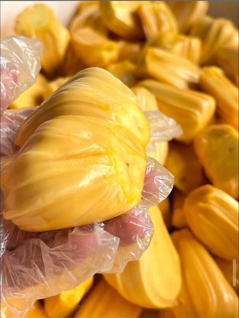 现摘海南菠萝蜜一整个当季新鲜水果干苞波罗蜜整箱包邮！