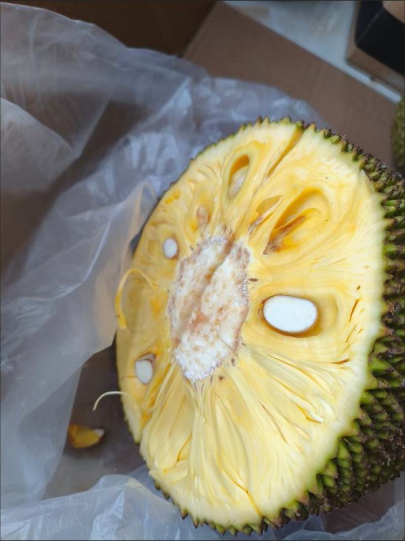 现摘海南菠萝蜜一整个当季新鲜水果干苞波罗蜜整箱包邮！